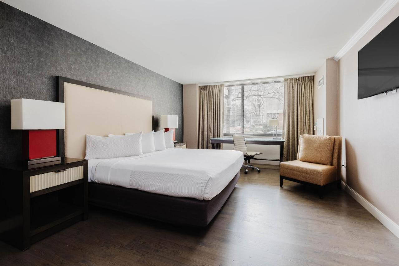 Estudio con cama extragrande - Accesible