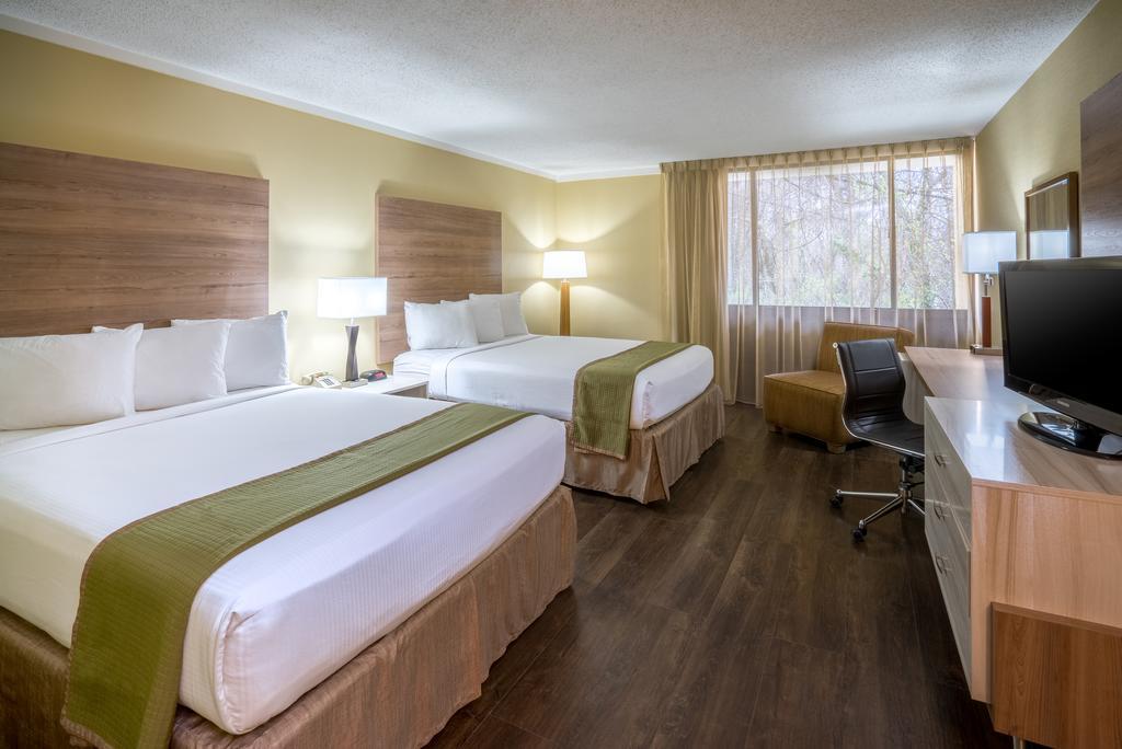 Chambre avec 2 Grands Lits Queen-Size