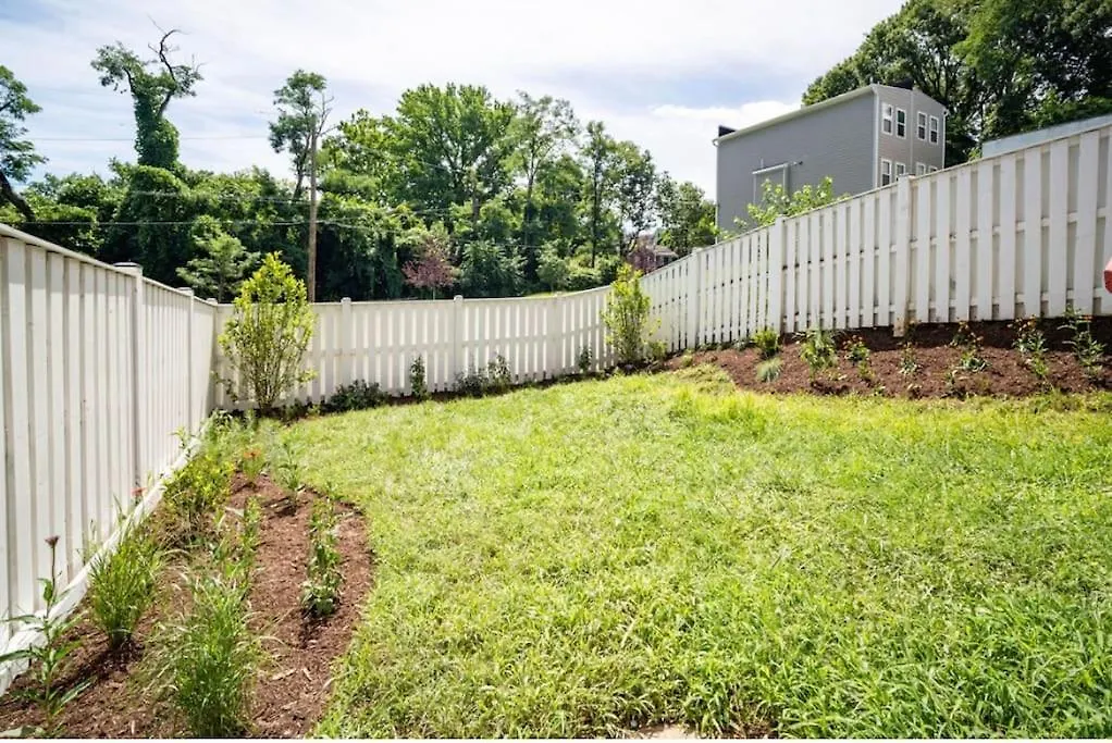 Colorful & Charming Dc Oasis ~ Patio ~ Workspace-1