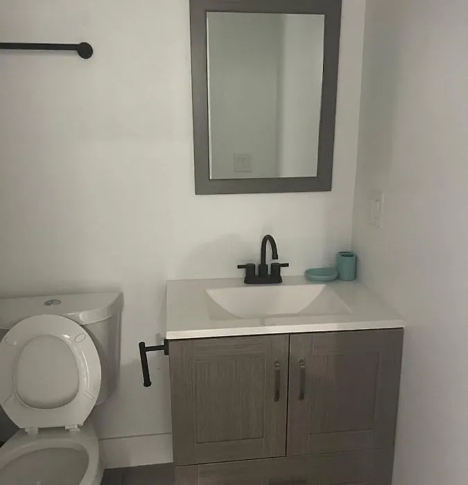 Modern Updated 1 Bedroom Condo Near Transportation-1