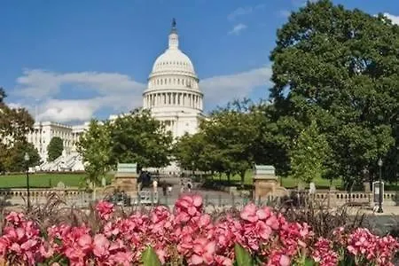 Capital View-1