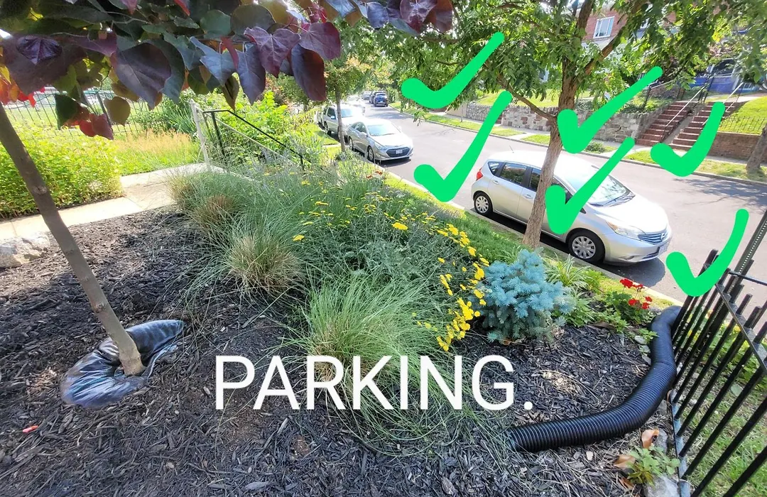 Capitol Hill Adj Home With Free St Parking & Metro Access-1