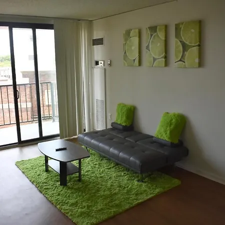 The Luxury Lime House Located In Cleveland Park Dc-2