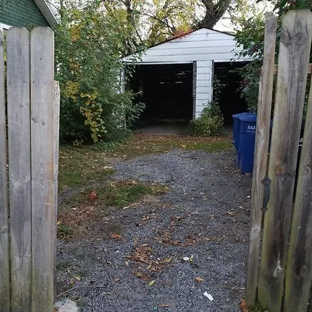D.C.'S Brookland House Pets Are Welcome!-2