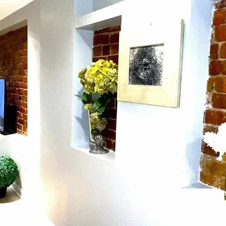 Five Star English Basement Apartment-3