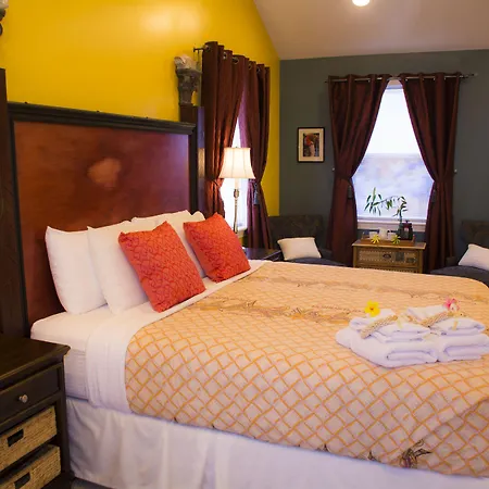 Malolo Bed And Breakfast-2