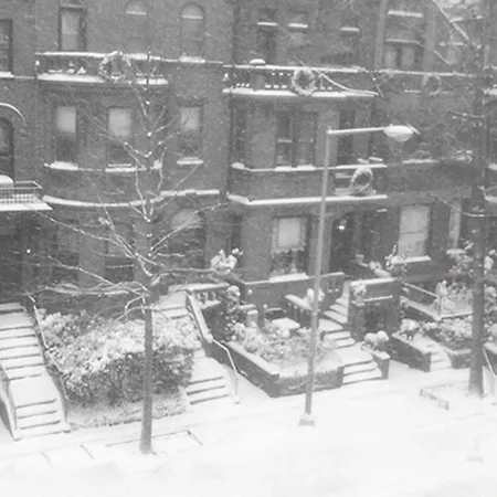The Mansion On O Street-3