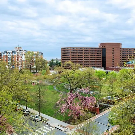 Washington Marriott Wardman Park-2