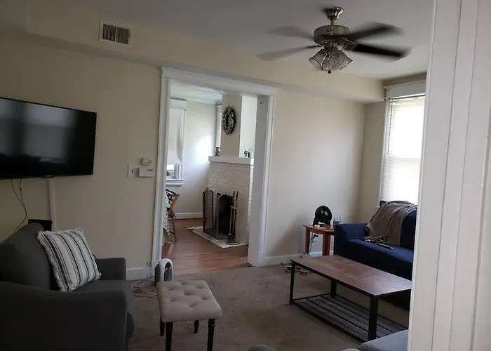 D.C.'S Brookland House Pets Are Welcome!