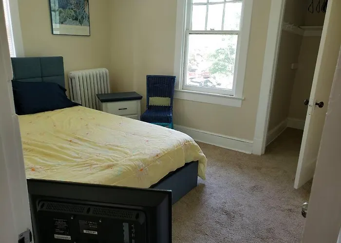 D.C.'S Brookland House Pets Are Welcome!