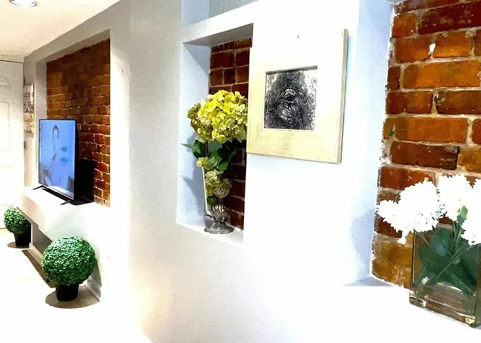 Five Star English Basement Apartment Washington