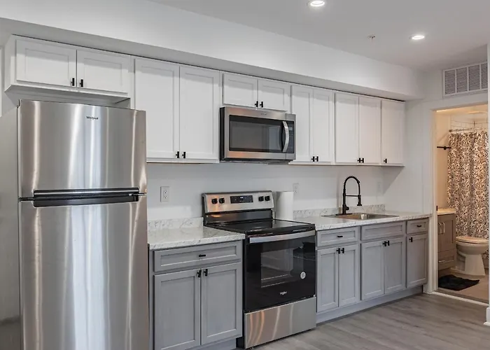 Modern Lux 1 Bedroom 1 Bed Condo Washington admite animales